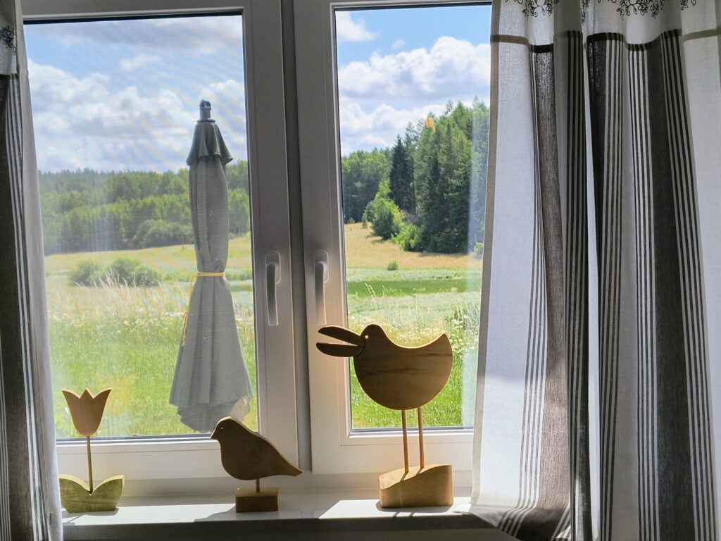 widok na taras i polanę