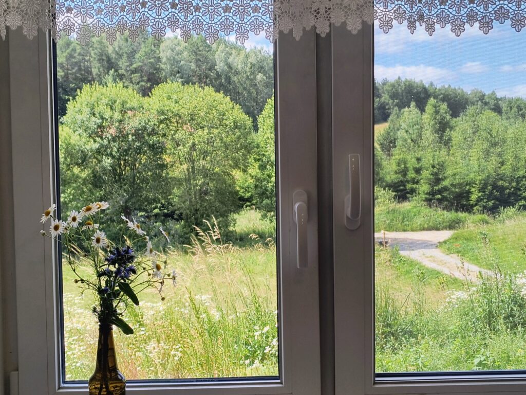 widok na polanę z okna